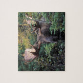 Noord-Amerika, Canada, Nova Scotia, Cape Breton Legpuzzel (Verticaal)