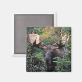 Noord-Amerika, Canada, Nova Scotia, Cape Breton Magneet (Voorkant / Achterkant)