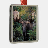 Noord-Amerika, Canada, Nova Scotia, Cape Breton Metalen Ornament (Rechts)