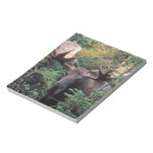 Noord-Amerika, Canada, Nova Scotia, Cape Breton Notitieblok (Linkerzijde)