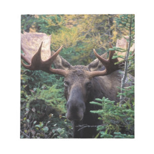 Noord-Amerika, Canada, Nova Scotia, Cape Breton Notitieblok