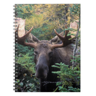 Noord-Amerika, Canada, Nova Scotia, Cape Breton Notitieboek