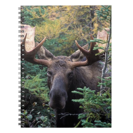 Noord-Amerika, Canada, Nova Scotia, Cape Breton Notitieboek (Voorkant)