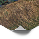 Noord-Amerika, Canada, Nova Scotia, Cape Breton, Poster (Hoek)