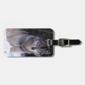 Noord-Amerika, Canada, Oost-Canada, Grijze wolf Bagagelabel (Voorkant horizontaal)