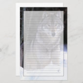 Noord-Amerika, Canada, Oost-Canada, Grijze wolf Briefpapier (Voorkant / Achterkant)