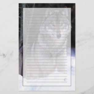 Noord-Amerika, Canada, Oost-Canada, Grijze wolf Briefpapier