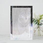 Noord-Amerika, Canada, Oost-Canada, Grijze wolf Briefpapier (Staand voorkant)