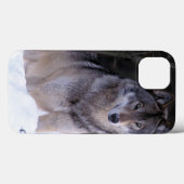 Noord-Amerika, Canada, Oost-Canada, Grijze wolf Case-Mate iPhone Case (Achterkant (horizontaal))