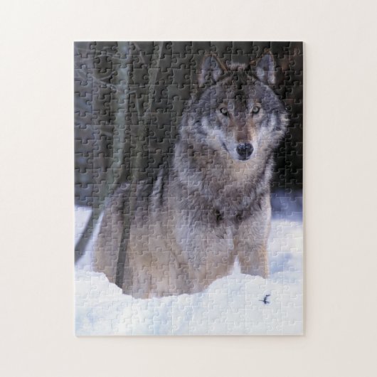 Noord-Amerika, Canada, Oost-Canada, Grijze wolf Legpuzzel (Verticaal)