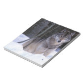 Noord-Amerika, Canada, Oost-Canada, Grijze wolf Notitieblok (Linkerzijde)