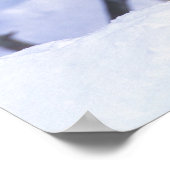 Noord-Amerika, Canada, Oost-Canada, Grijze wolf Poster (Hoek)