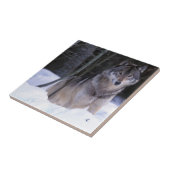 Noord-Amerika, Canada, Oost-Canada, Grijze wolf Tegeltje (Zijkant)