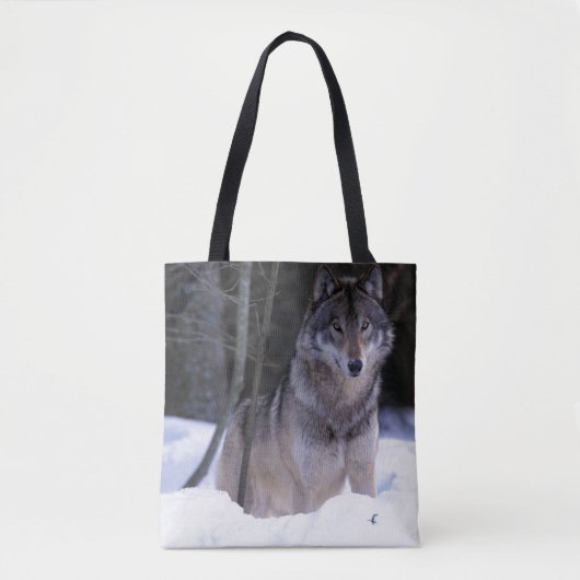 Noord-Amerika, Canada, Oost-Canada, Grijze wolf Tote Bag (Voorkant)