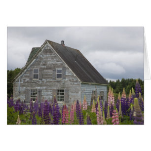 Noord-Amerika, Canada, Prince Edward Island,