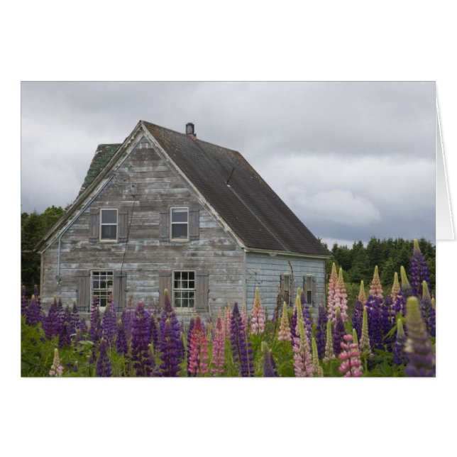Noord-Amerika, Canada, Prince Edward Island, (Voorkant Horizontaal)