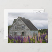 Noord-Amerika, Canada, Prince Edward Island Briefkaart (Voorkant / Achterkant)