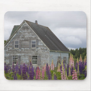 Noord-Amerika, Canada, Prince Edward Island, Muismat