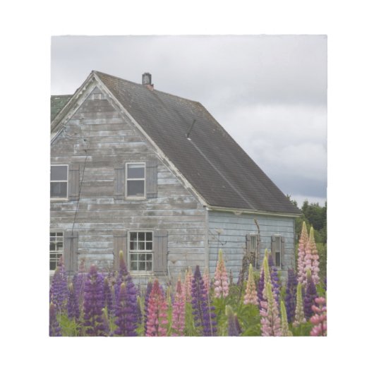 Noord-Amerika, Canada, Prince Edward Island, Notitieblok (Voorkant)