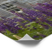 Noord-Amerika, Canada, Prince Edward Island Poster (Hoek)