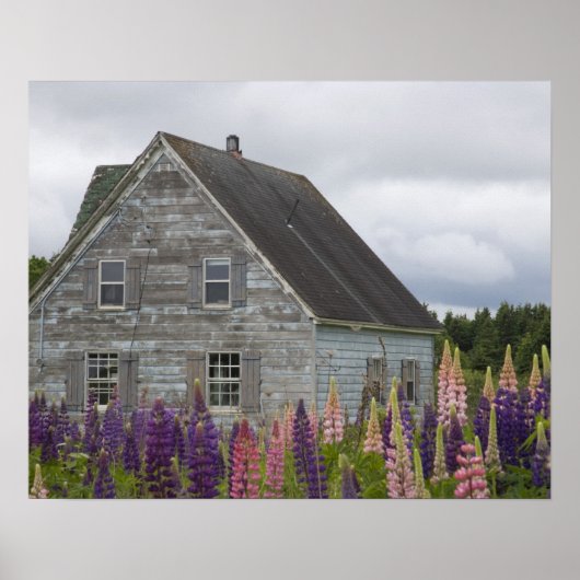 Noord-Amerika, Canada, Prince Edward Island Poster (Voorkant)