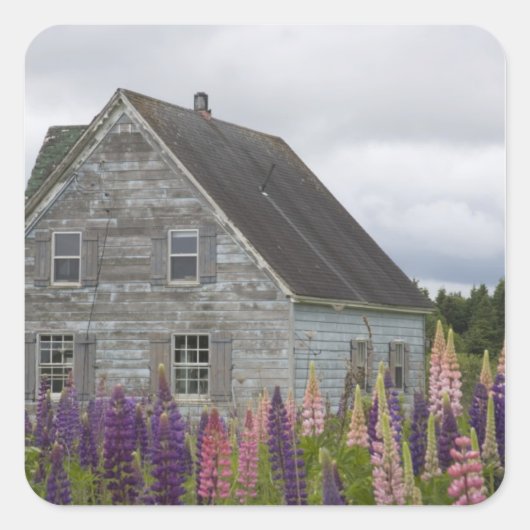 Noord-Amerika, Canada, Prince Edward Island Vierkante Sticker (Voorkant)