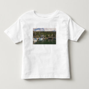Noord-Amerika, Canada, Queen Charlotte-eilanden, 4 Kinder Shirts