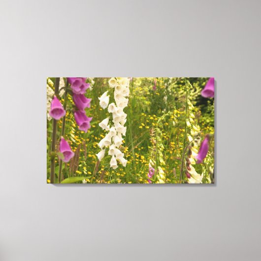 Noord-Amerika, Canada, Queen Charlotte-eilanden, 5 Canvas Afdruk (Voorkant)