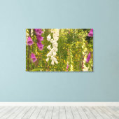 Noord-Amerika, Canada, Queen Charlotte-eilanden, 5 Canvas Afdruk (Insitu (Houten vloer))