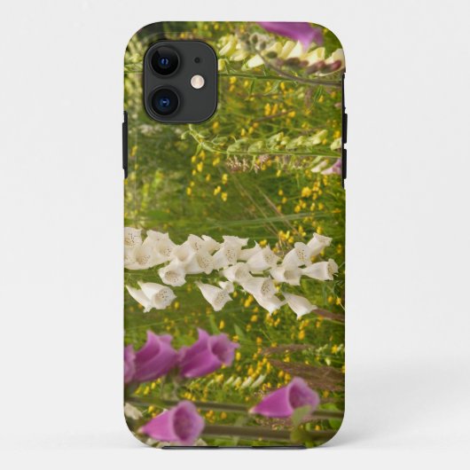 Noord-Amerika, Canada, Queen Charlotte-eilanden, 5 Case-Mate iPhone Case (Achterkant)