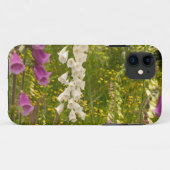 Noord-Amerika, Canada, Queen Charlotte-eilanden, 5 Case-Mate iPhone Case (Achterkant (horizontaal))
