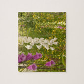 Noord-Amerika, Canada, Queen Charlotte-eilanden, 5 Legpuzzel (Verticaal)