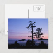 Noord-Amerika, Canada, Vancouver Island, bomen Briefkaart (Voorkant / Achterkant)