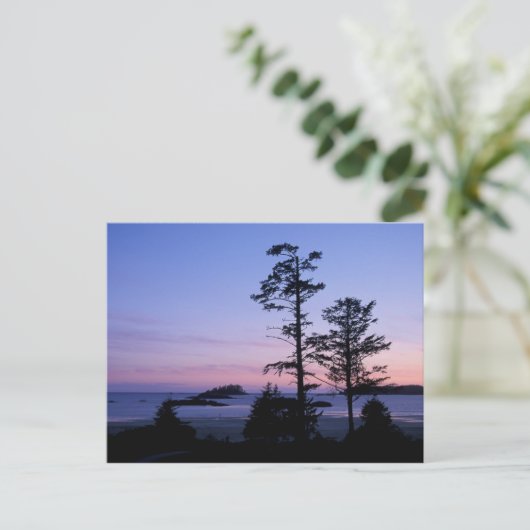 Noord-Amerika, Canada, Vancouver Island, bomen Briefkaart (Staand voorkant)