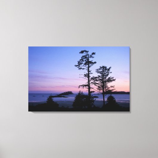 Noord-Amerika, Canada, Vancouver Island, bomen Canvas Afdruk (Voorkant)