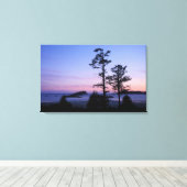 Noord-Amerika, Canada, Vancouver Island, bomen Canvas Afdruk (Insitu (Houten vloer))