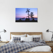 Noord-Amerika, Canada, Vancouver Island, bomen Canvas Afdruk (Insitu (Slaapkamer))