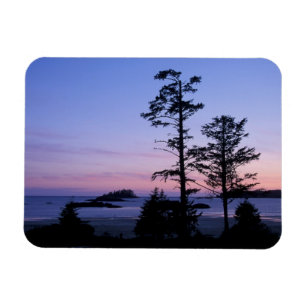 Noord-Amerika, Canada, Vancouver Island, bomen Magneet