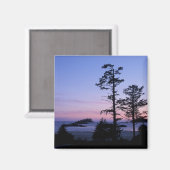 Noord-Amerika, Canada, Vancouver Island, bomen Magneet (Voorkant / Achterkant)