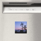 Noord-Amerika, Canada, Vancouver Island, bomen Magneet (Insitu (Vaatwasser))