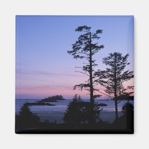 Noord-Amerika, Canada, Vancouver Island, bomen Magneet