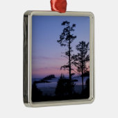 Noord-Amerika, Canada, Vancouver Island, bomen Metalen Ornament (Rechts)