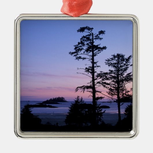 Noord-Amerika, Canada, Vancouver Island, bomen Metalen Ornament (Voorkant)