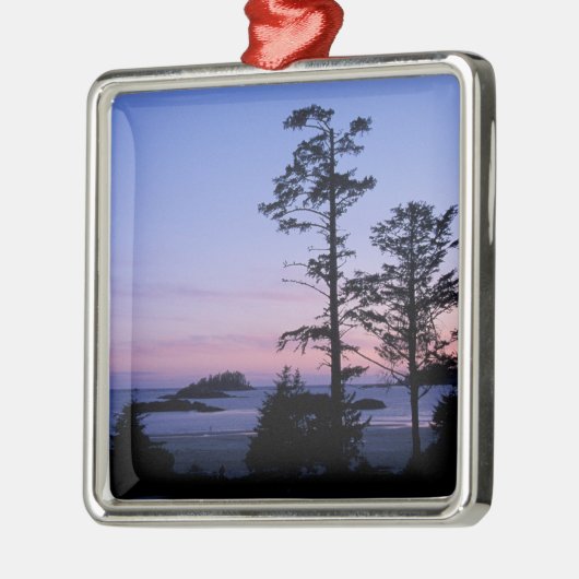 Noord-Amerika, Canada, Vancouver Island, bomen Metalen Ornament (Links)
