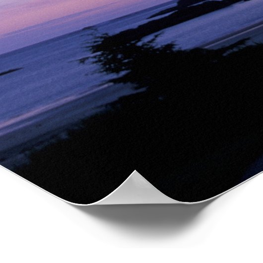 Noord-Amerika, Canada, Vancouver Island, bomen Poster (Hoek)