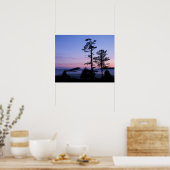 Noord-Amerika, Canada, Vancouver Island, bomen Poster (Keuken)