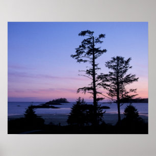 Noord-Amerika, Canada, Vancouver Island, bomen Poster