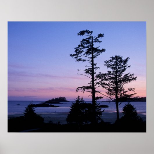 Noord-Amerika, Canada, Vancouver Island, bomen Poster (Voorkant)