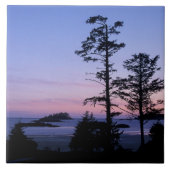 Noord-Amerika, Canada, Vancouver Island, bomen Tegeltje (Voorkant)