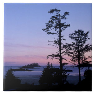 Noord-Amerika, Canada, Vancouver Island, bomen Tegeltje